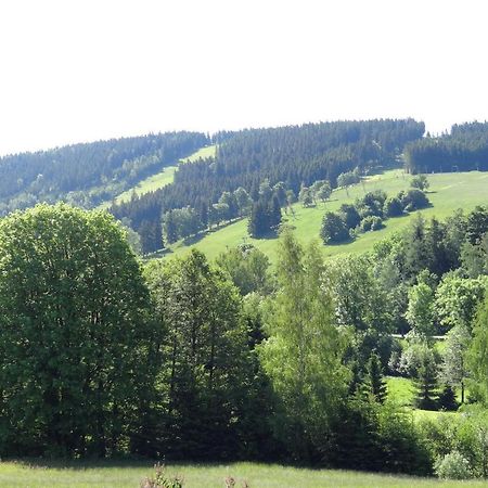 Apartmán Karovi Destne v Orlickych horach Kültér fotó