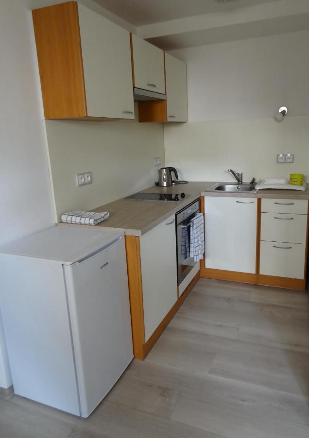 Apartmán Karovi Destne v Orlickych horach Kültér fotó